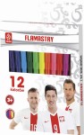 ASTRA Flamastry pisaki mazaki 12 kolorów PZPN Piłkarze