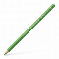 110112_Polychromos colour pencil, leaf green_High Res_21603.jpg