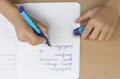 Scribolino Fountain Pen_High Res_61985.jpg