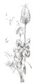119305_Castell 9000 Jumbo graphite pencil, tin of 5_High Res_26805.jpg