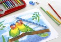 201597_Colour Grip colour pencils, cardboard wallet, 24 pieces_High Res_59712.jpg