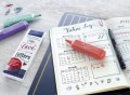 Bullet Journaling Pitt Artist Pen + Textliner 1546 Pastel A4 landscape_High Res_39430.jpg