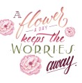 Illustration Pitt Artist Pen Hand Lettering wallet 267124_High Res_40852.jpg