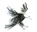 Pitt Artist Pen Soft Brush illustration hawk_High Res_27767.jpg
