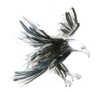 Pitt Artist Pen Soft Brush illustration hawk_High Res_27767.jpg