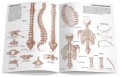 koh-i-noor-anatomia-04-seria-poradnikow-leonardo-isbn-978-88-8172-253-2-4.jpg