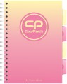 04811cp.jpg