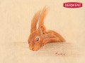 Derwent Pastel Pencils  - artwork Red squirrel, by David Cook.jpg