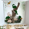 dpcraft-naklejki-dinozaury-5903925002744-2.jpg