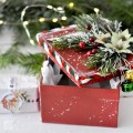 DRUCIKI KREATYWNE 30 CM TRÓJKOLOROWE, 10 SZT. KSDR-029-5.jpg
