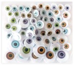 DPCRAFT Oczka ruchome NATURALNE do maskotek MIX 72 sztuki