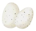 Dinosaur_Special Edition_Egg_High Res_83084.jpg