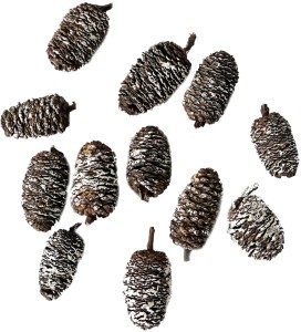 DPCRAFT Mini szyszki dekoracyjne bielone 12 sztuk