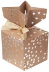 DPCRAFT Pudełka prezentowe świąteczne 10 x 10 cm 2 sztuki Srebrne Gwiazdki