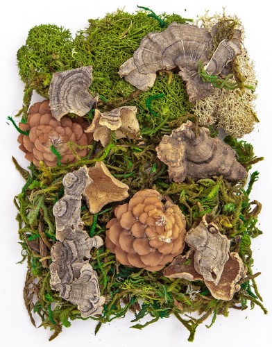 MECH I NATURALNE ELEMENTY MIX, 30 G.jpg