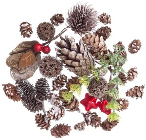 DPCRAFT Naturalne elementy dekoracyjne 50 g SZYSZKI