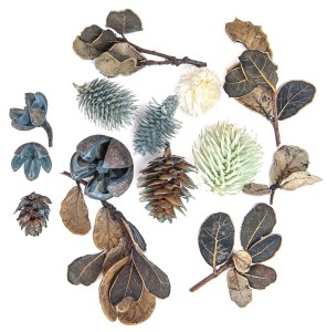 DPCRAFT Suszone owoce i liście dekoracyjne 14 sztuk MORSKIE