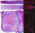 Kuretake-Gansai-Tambi-775-Granulating-Aurora-Violet-WZORNIK.jpg