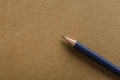 smltart_star_t_brown_macro_1659096700.jpg