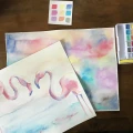 Derwent-Farby-Pastel-Shades-12-kolorow-2305865-1000pxl-flamingi.jpg