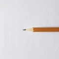 SMLTArt-Authentic-Drawing-drzewo-powierzchnia-papieru-1200pxl.jpg