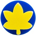 ZESTAW-nr2-GABKI-I-WALEK-MALARSKI-ASTRA-7-ELEMENTOW-STEMPELKI-Liczba-sztuk-w-zestawie-7-szt.jpg